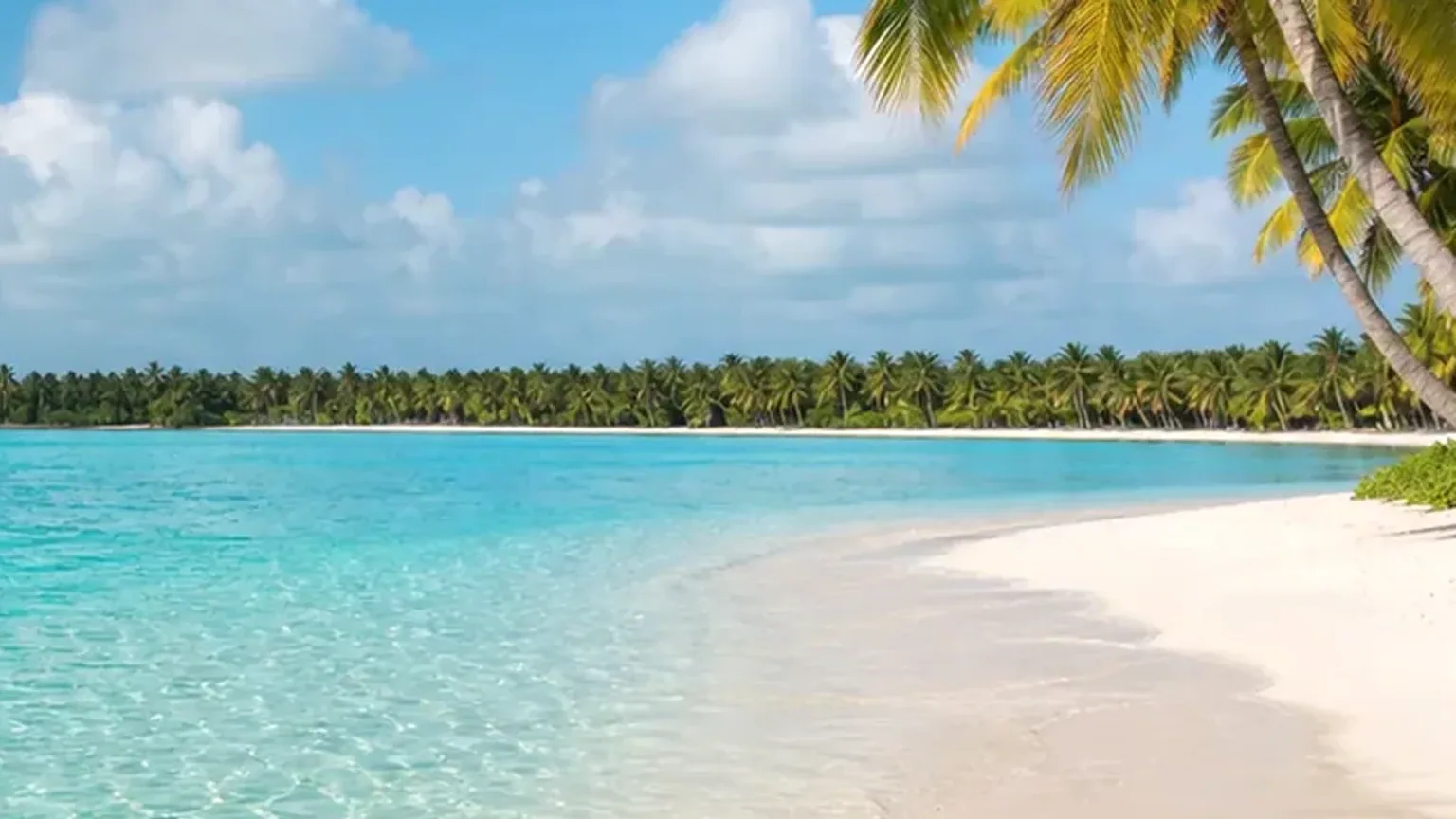 Cena fotográfica de praia tropical para contextualizar planeamento de férias em família em Punta Cana.