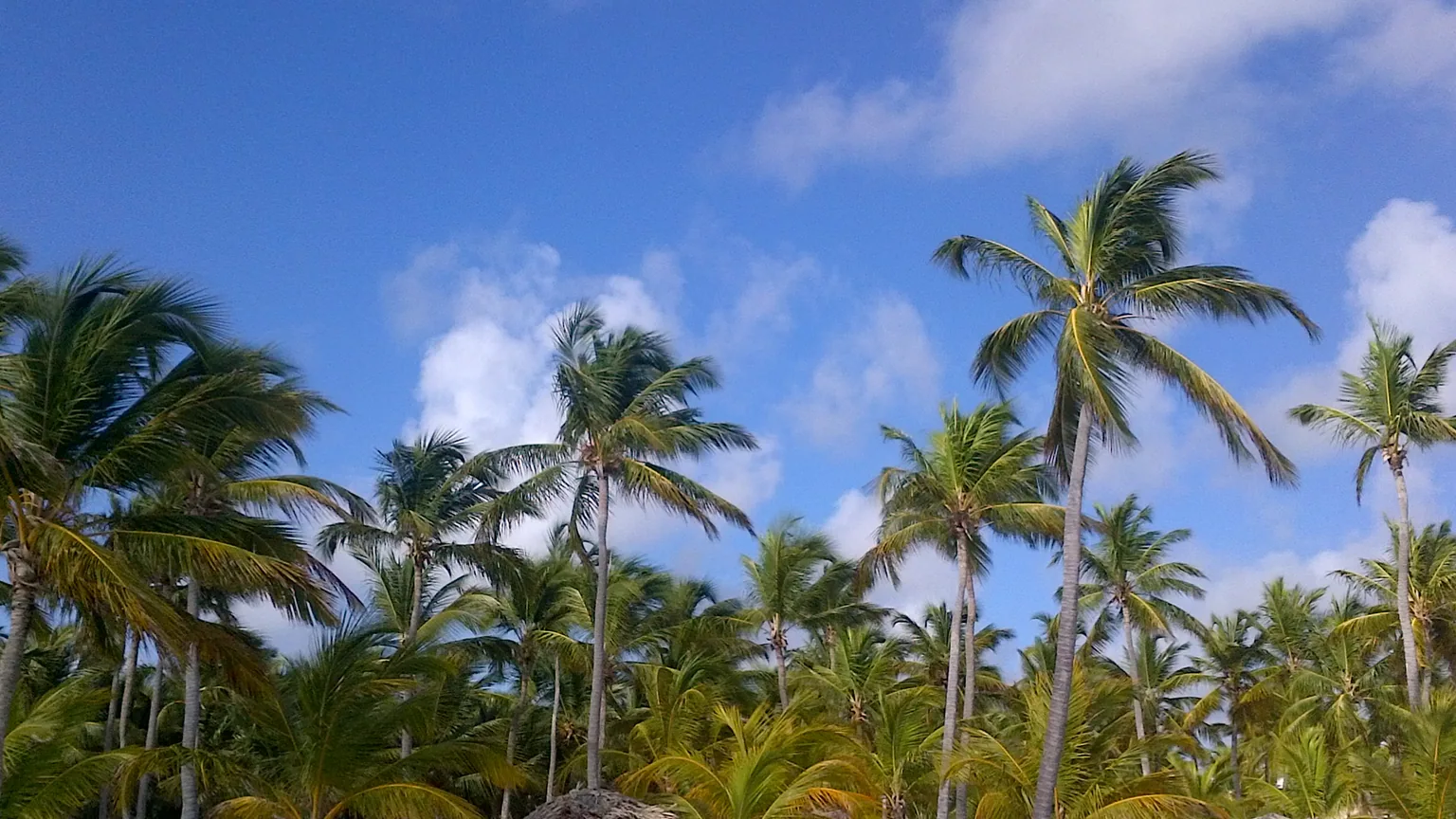 Praia em Punta Cana para comparar uma estadia de resort com outras zonas da Republica Dominicana.